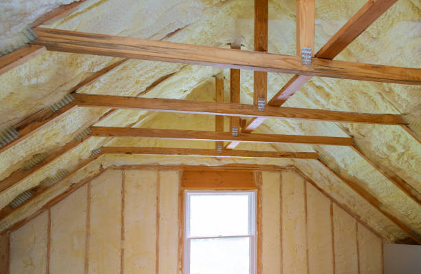 Best Attic Insulation Installation  in Amherst, WI