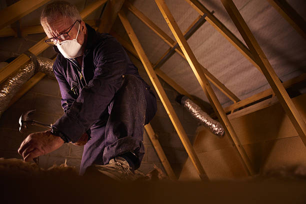 Best Home Insulation Services  in Amherst, WI